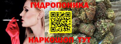 соль ск Новокубанск
