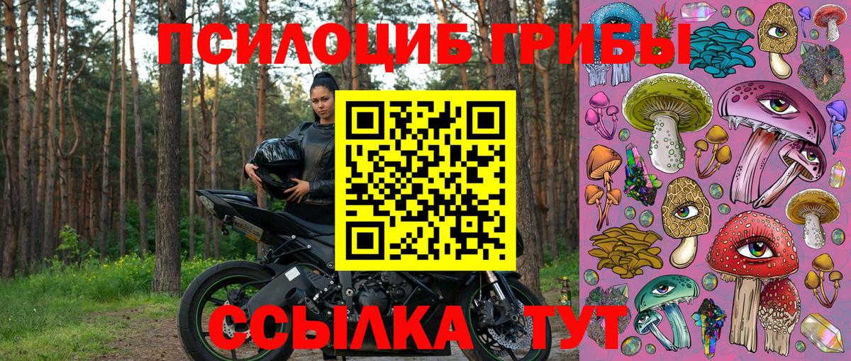 Псилоцибиновые грибы MAGIC MUSHROOMS  Псилоцибиновые грибы мицелий  Сургут  Вход с VPN 
